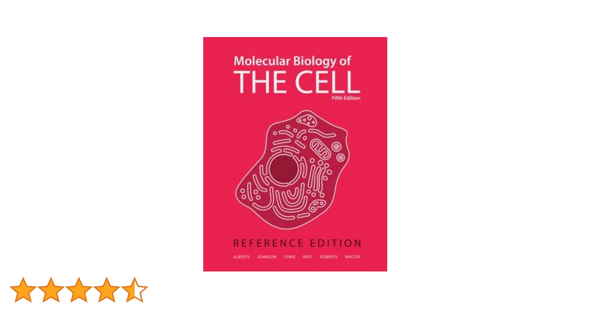 41sgTCkbnDL.jpg_BO30,255,255,